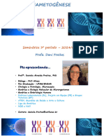 Seminario Gametogenese 2024 02