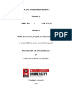 Final Social Internship Report Format