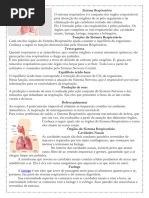 Sistema Respiratório - Eixo IV - Ciências