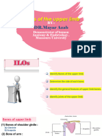 Bones of Upper Limb (anatomy practical) mansoura 