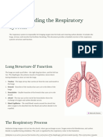 Respiratory System