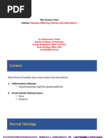 Diseases Affecting Tubules and Interstitium