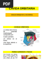 Cavidad Orbitaria