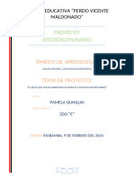 Proyecto Interdisciplinario (2) Pame