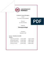 Act 4- Neuropsicología