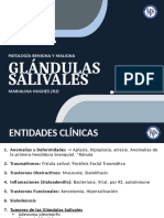 Glandulas Salivales Patologia - Hughes