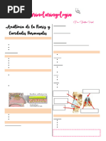 RESUMOOTORRINO1PARCIAL