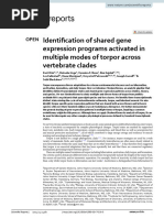 Identification of Shared Gene Expression Programs Activated in Multiple Modes of Torpor Across Vertebrate Clades