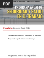 Programa Anual de Seguridad Y Salud en El Trabajo