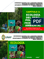 6 PPT N°05 - Politica Ambiental-Ecología Del Peru-Problemas