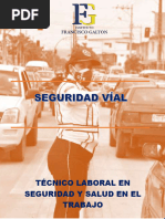 Guía 1 Seguridad Víal Riesgo Téc. Seguridad y Salud en El Trabajo - Instituto Francisco Galton