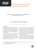 184 Desarrollo de Totopos de Maíz Con Espinaca y Chapulines