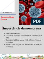 Fisiologia Celular - Cassandra