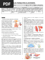 Unidad 3 - Ficha - Sem 3 - Ciencia 2°