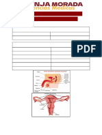 RESUMEN DESARROLLO EMBRIOFETAL Y GENETICA 