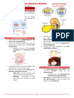 Embryo Trans 4