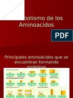 Metabolismo de Los Aminoacidos