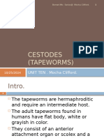 Cestodes (Tapeworms)