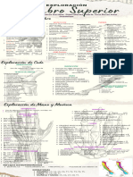 Infografía Trabajo Freelance Autónomo Simple Pastel-2