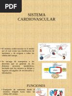 Sistema Cardiovascular