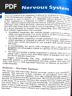 Nervous System and Coordination