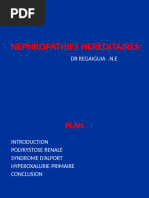 Nephro5an-Nephropathies Hereditaires2022regaiguia