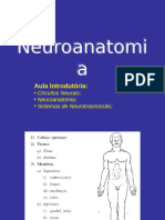 123 - REVISÃO DE NEUROANATOMIA