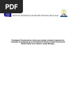 Intención Investigativa Con Las Correcciones. Florimar Pinto