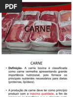 Slides de Carne-2003