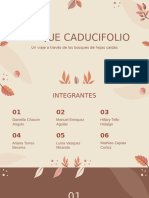 Bosque Caducifolio