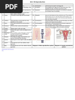 7B Reproduction