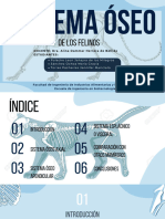 OSTEOLOGIA DE LOS FELINOS_compressed