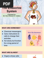 The Endocrine System