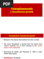 Toxoplasma Gondii Class