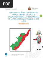 Lineamientos Fiebre Amarilla Huila