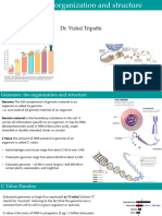 Complete - Genome Organisation