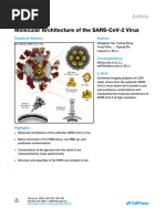 Arquitetura Molucular Covid 19