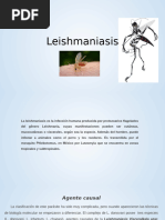 Leishmaniasis 075630