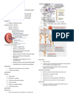 Renal Reviewer Ko