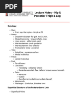 Lecture Notes - Hip & Posterior Thigh & Leg