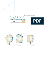 Ach 117 Adsorption Notes