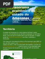 Panorama Econômico Do Estado Do Amazonas