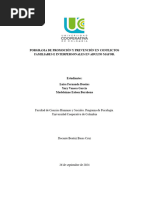 Pyp Manejo de Conflictos Familiares e Interpersonales en Adulto Mayor