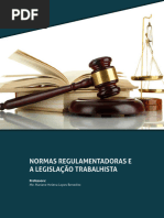 Normas Regulamentadoras e A Legislação