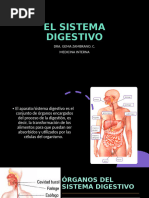 Sistema Digestivo PARTE 1