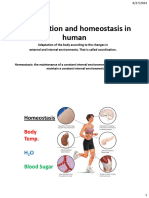 Coordination and Homeostasis in Human