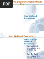 User Defined Exceptions