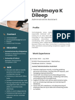 Professional CV Resume