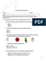 Evualuación Parcial Unidad 3 - Tercero Ciencias