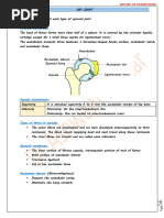 Hip&Knee Joints